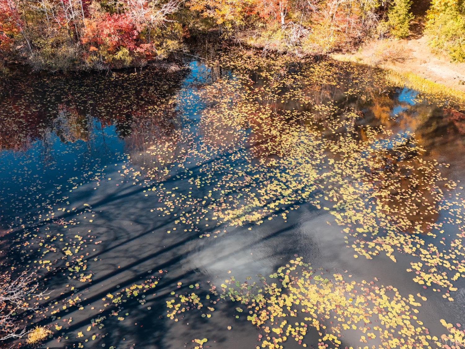 7941 Sugar Hill Road Brookneal, VA 24528 - Photo 49 of 76