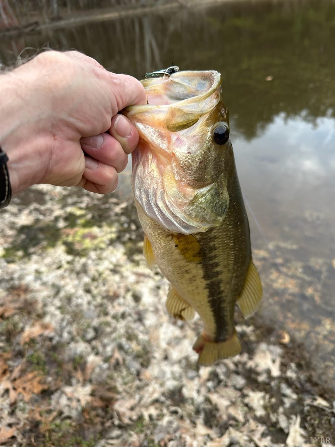 7941 Sugar Hill Road Brookneal, VA 24528 - Photo 50 of 76