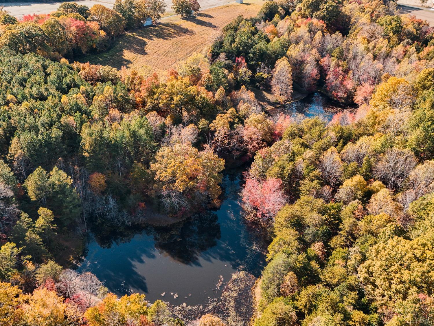 7941 Sugar Hill Road Brookneal, VA 24528 - Photo 6 of 76