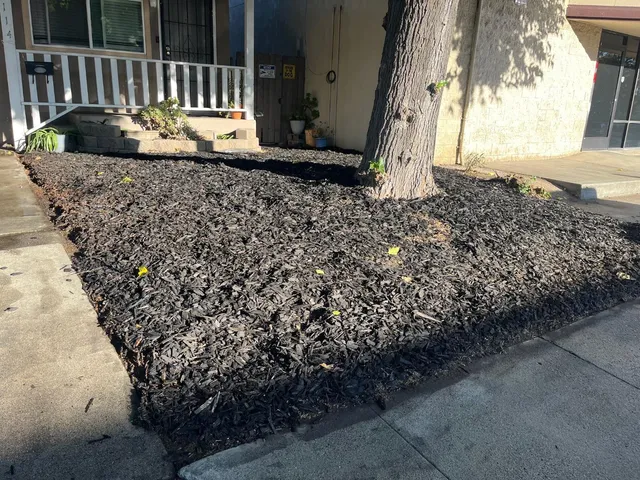 a view of a yard with plants and wooden fence