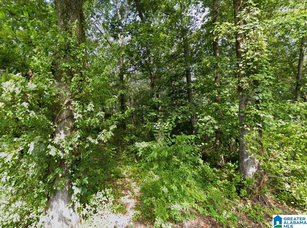 0 Bron Holmes Road Falkville, AL 35622 - Photo 4 of 14
