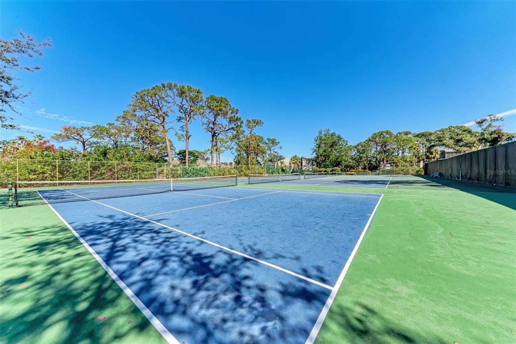 360 Pine Run Drive Osprey, FL 34229 - Photo 56 of 69 Gallery Image 56