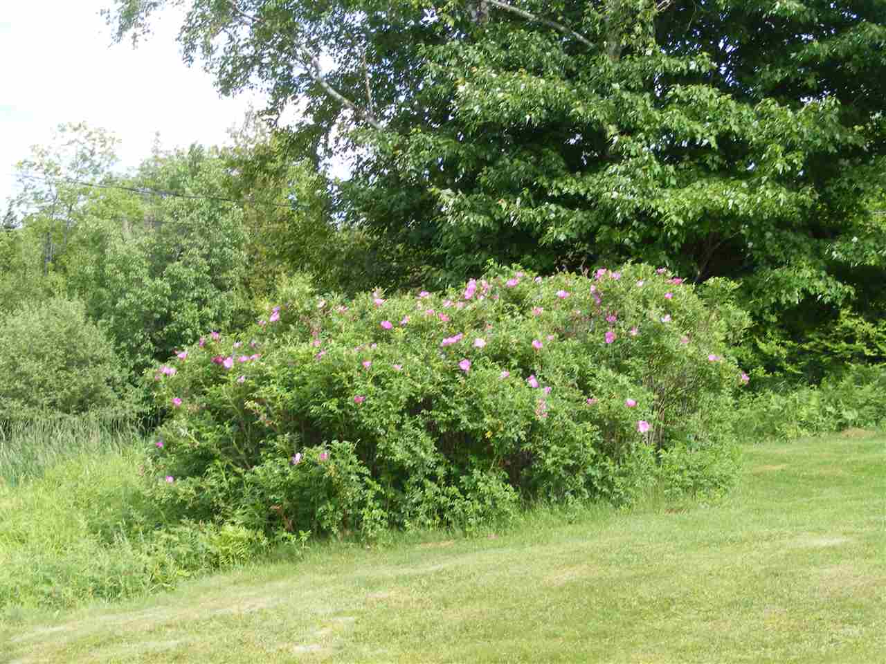 15 State Garage Road Milan, NH 03588 - Photo 35 of 36