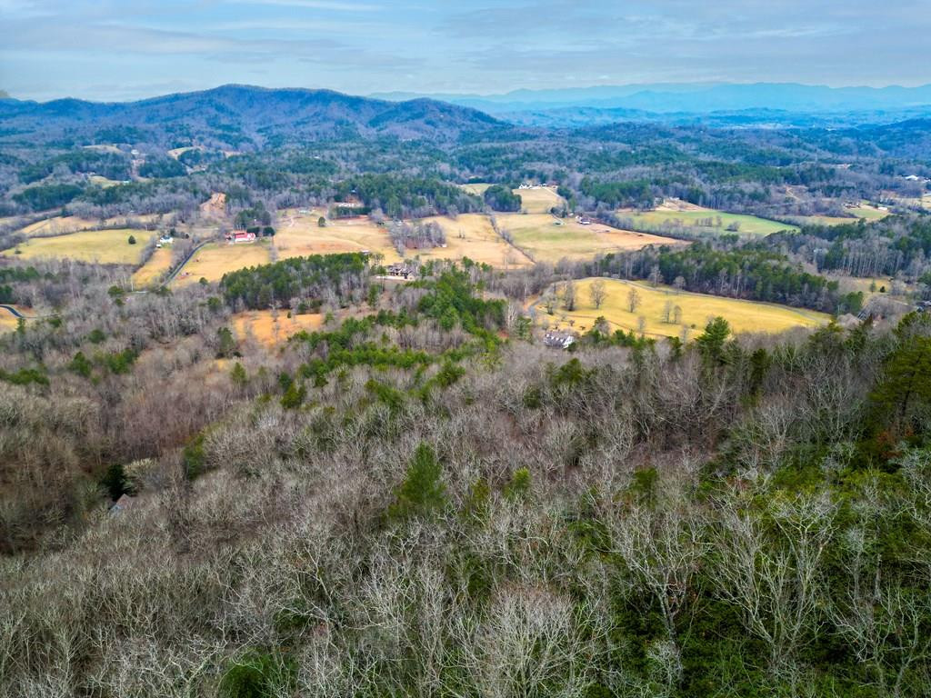 Lot 5 Mason Road Brasstown, NC 28902 - Photo 1 of 11 Main View