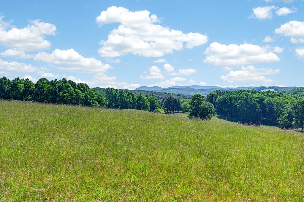 5.65 Long Level Road Southwest, Unit 12C Floyd, VA 24091 - Photo 31 of 31 Gallery Image 31