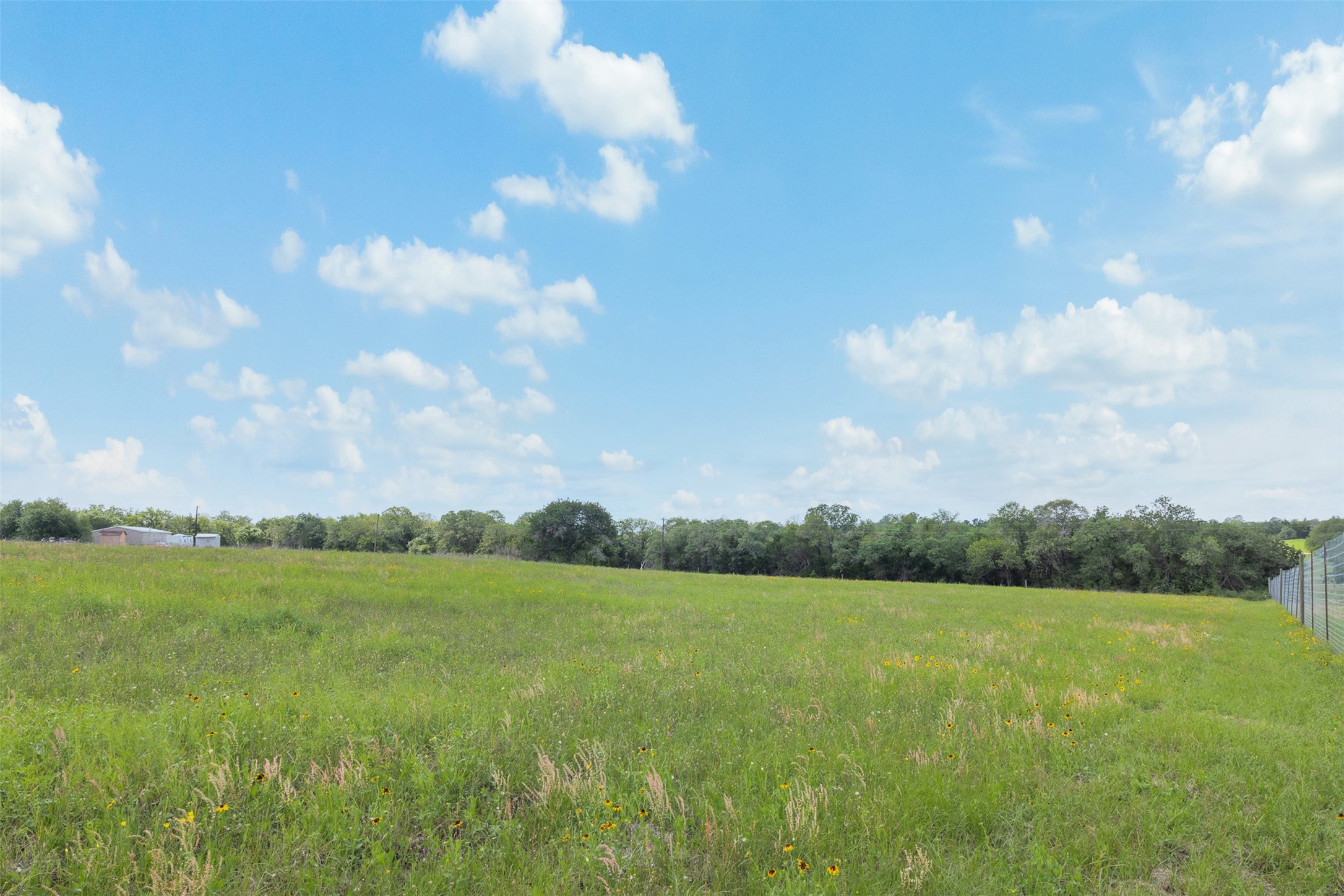 622 Red Rock Ranch Road Red Rock, TX 78662 - Photo 7 of 46 a view of a big yard with lots of green space