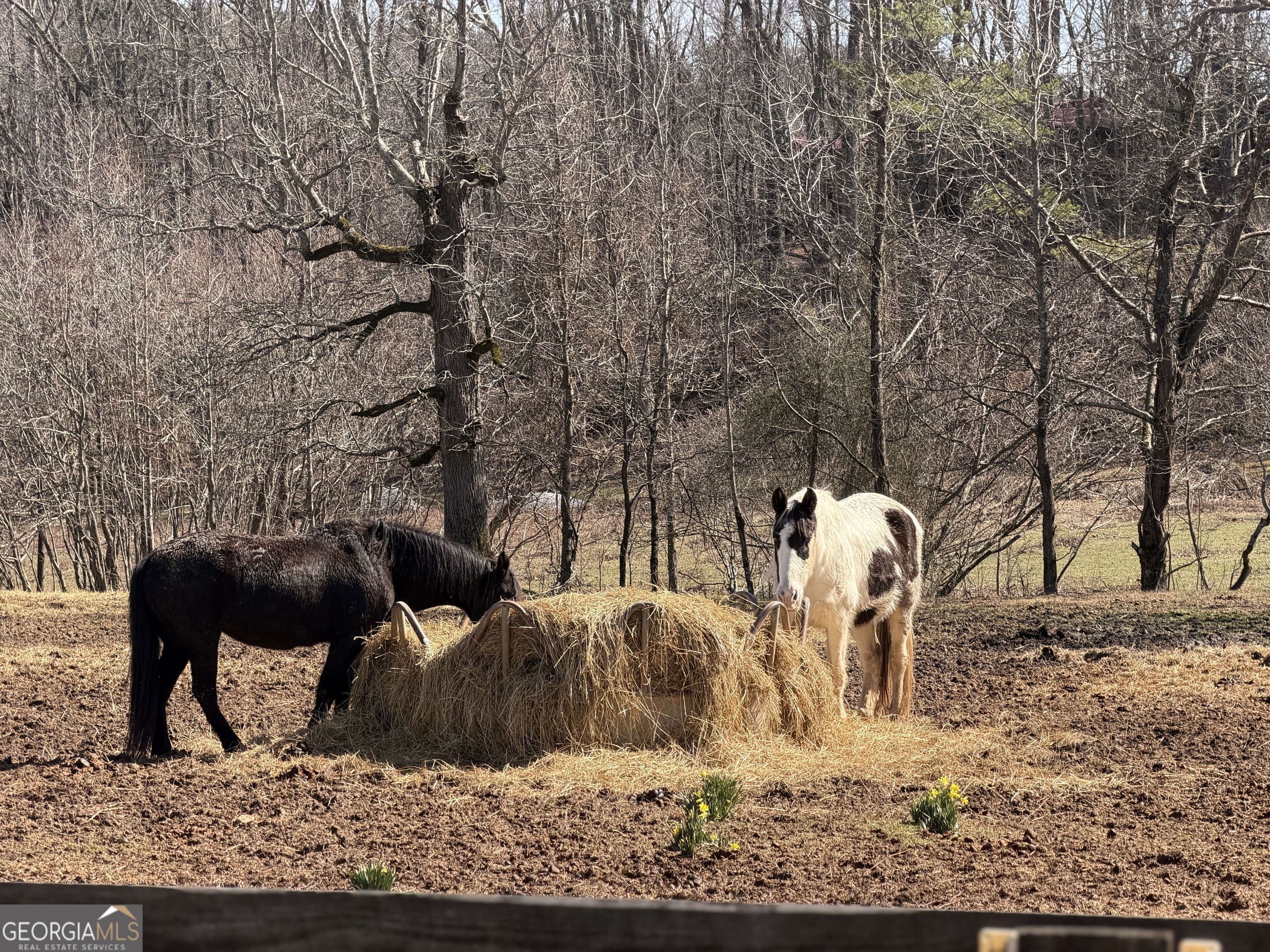 175 Yogi Bear Boulevard Cleveland, GA 30528 - Photo 32 of 43