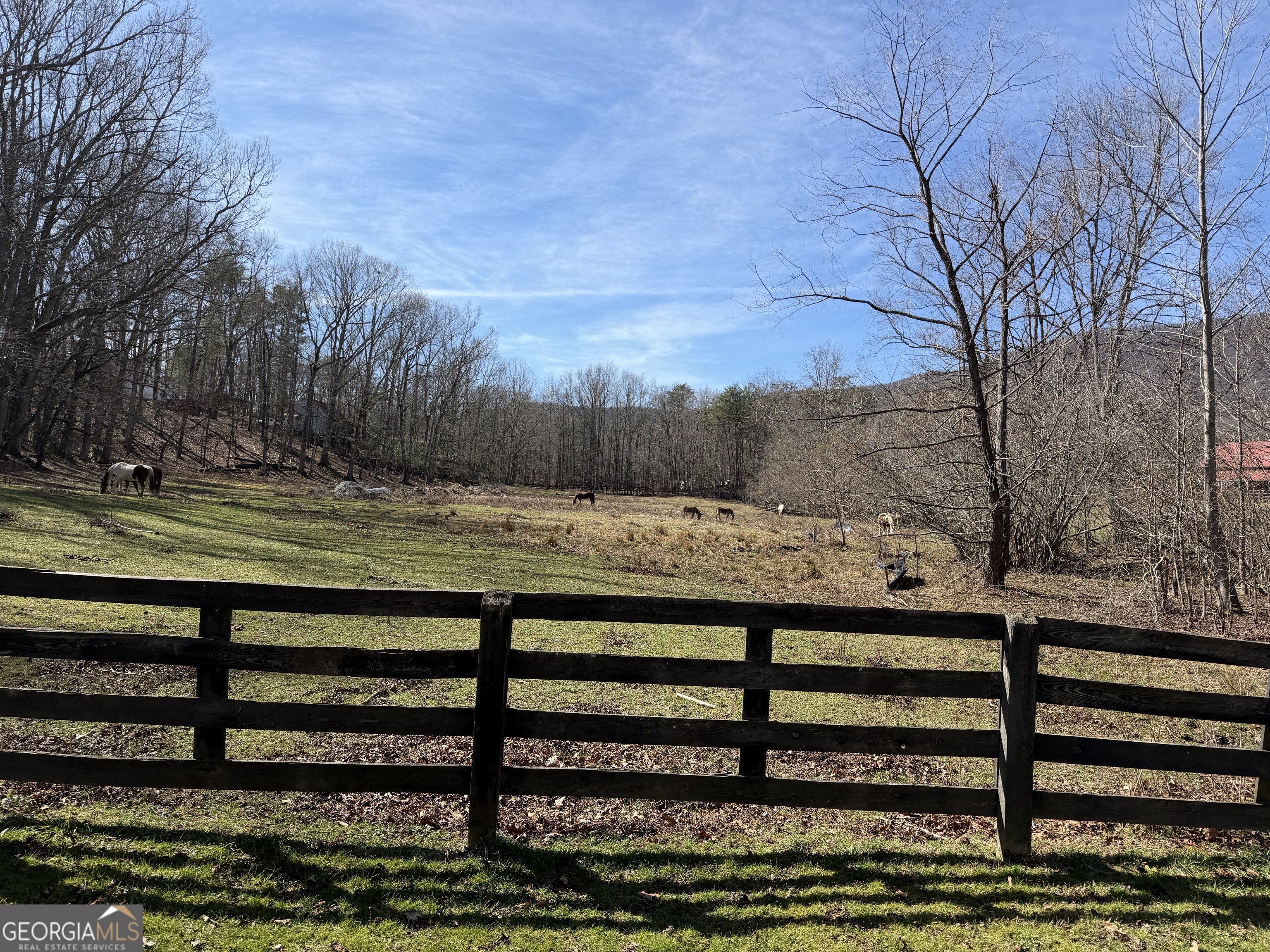 175 Yogi Bear Boulevard Cleveland, GA 30528 - Photo 38 of 43