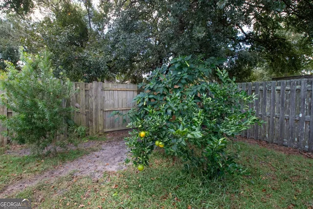 a backyard of a house with lots of green space