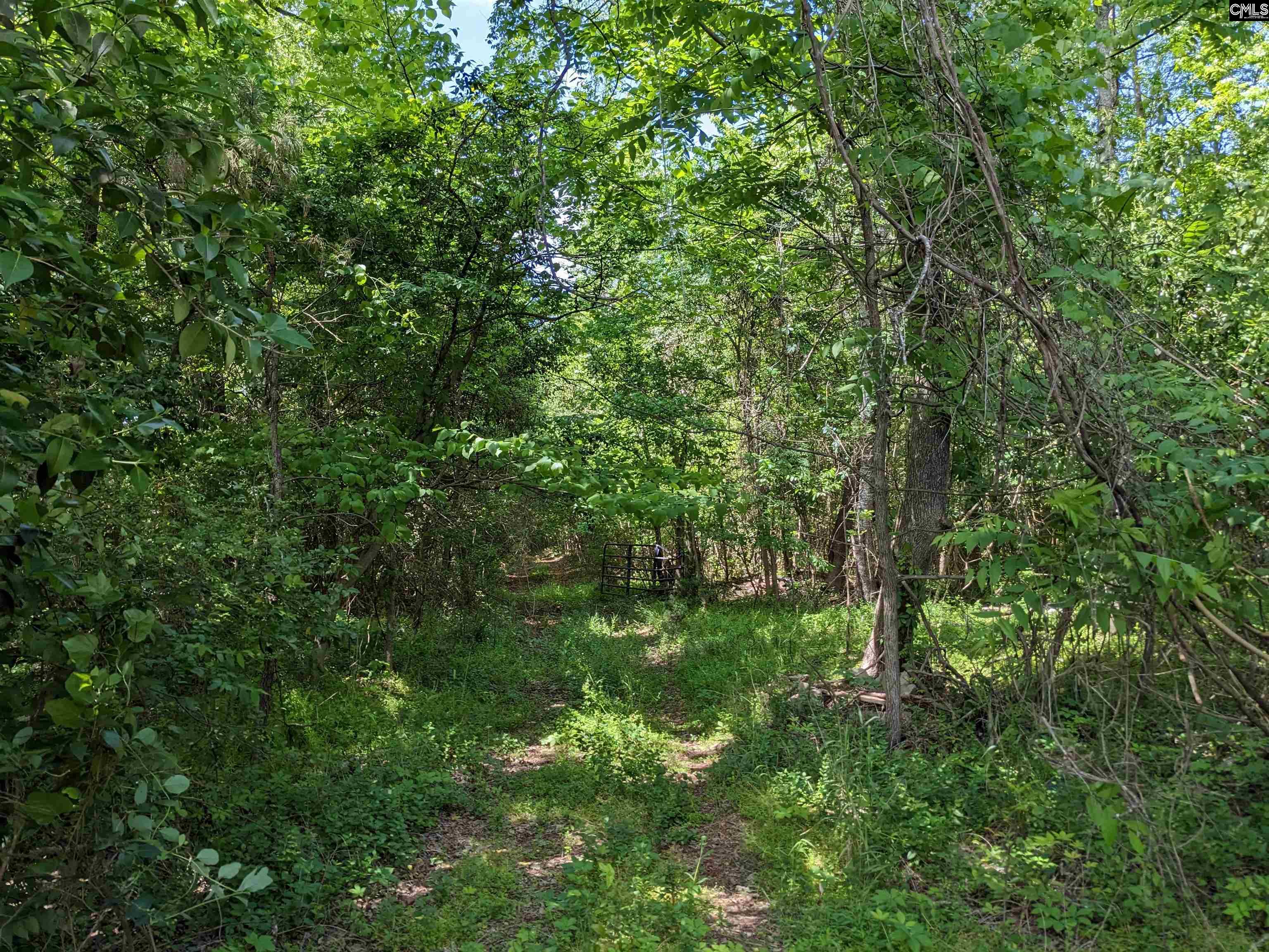 Jewel Drive Ridgeway, SC 29130 - Photo 1 of 20