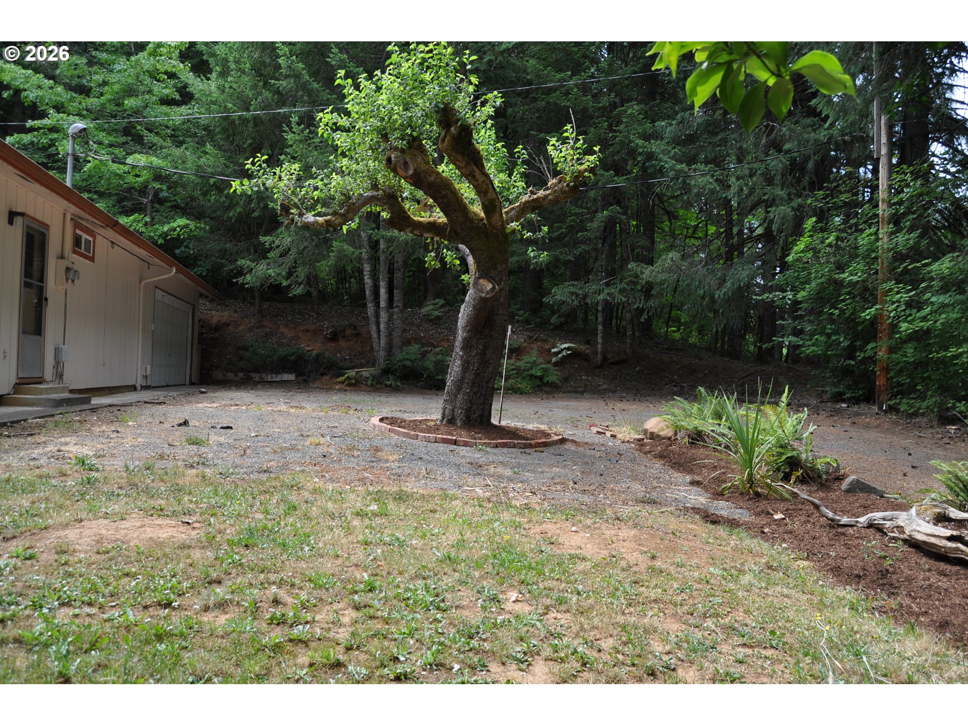 23776 Warthen Road Elmira, OR 97437 - Photo 6 of 34