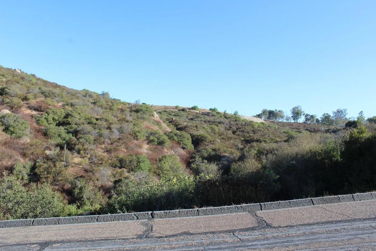 Taberna Vista Way Alpine, CA 91901 - Photo 2 of 12 Gallery Image 2