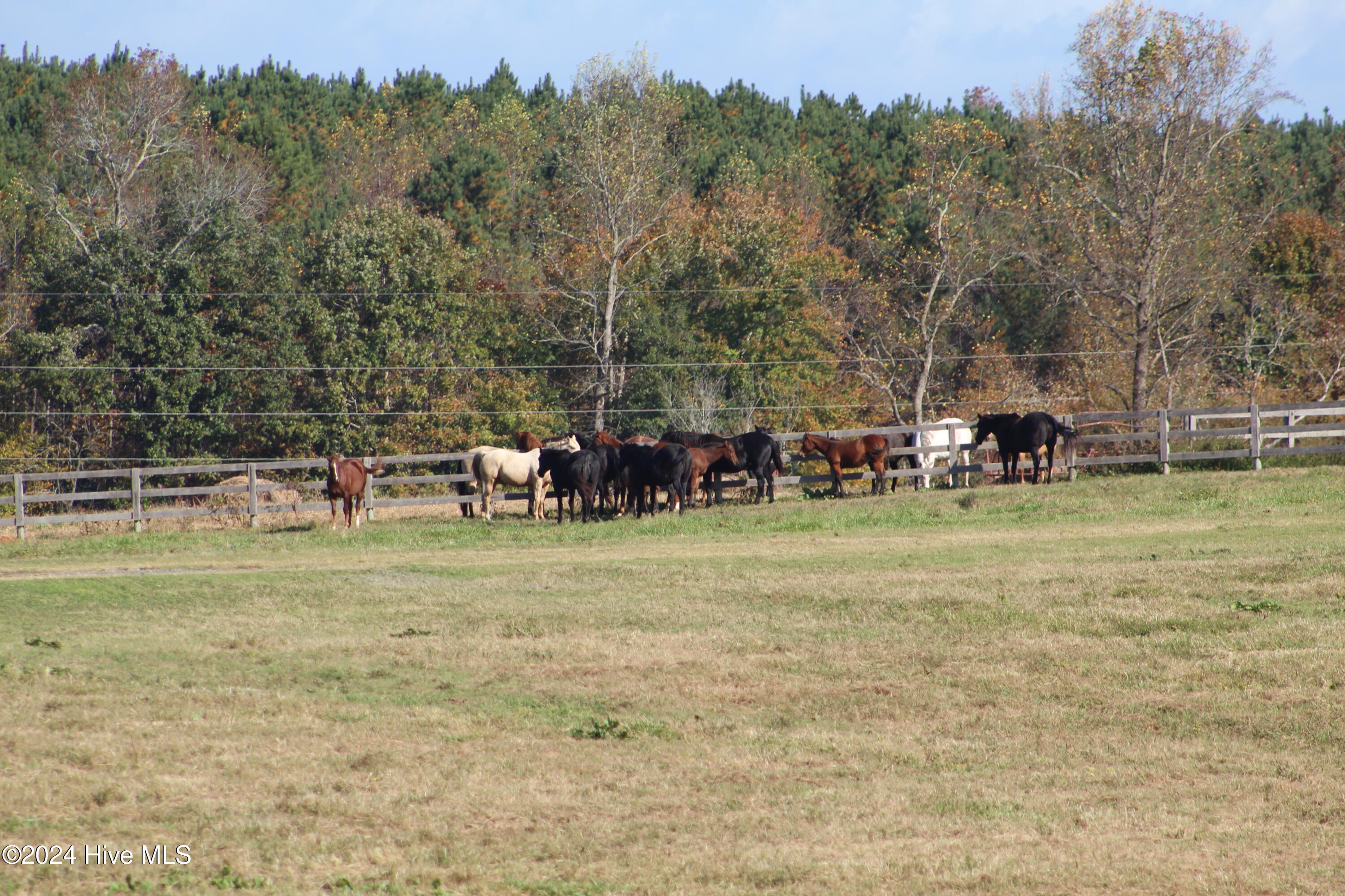 455 Hogan Farm Road Seagrove, NC 27341 - Photo 84 of 87 IMG_0762
