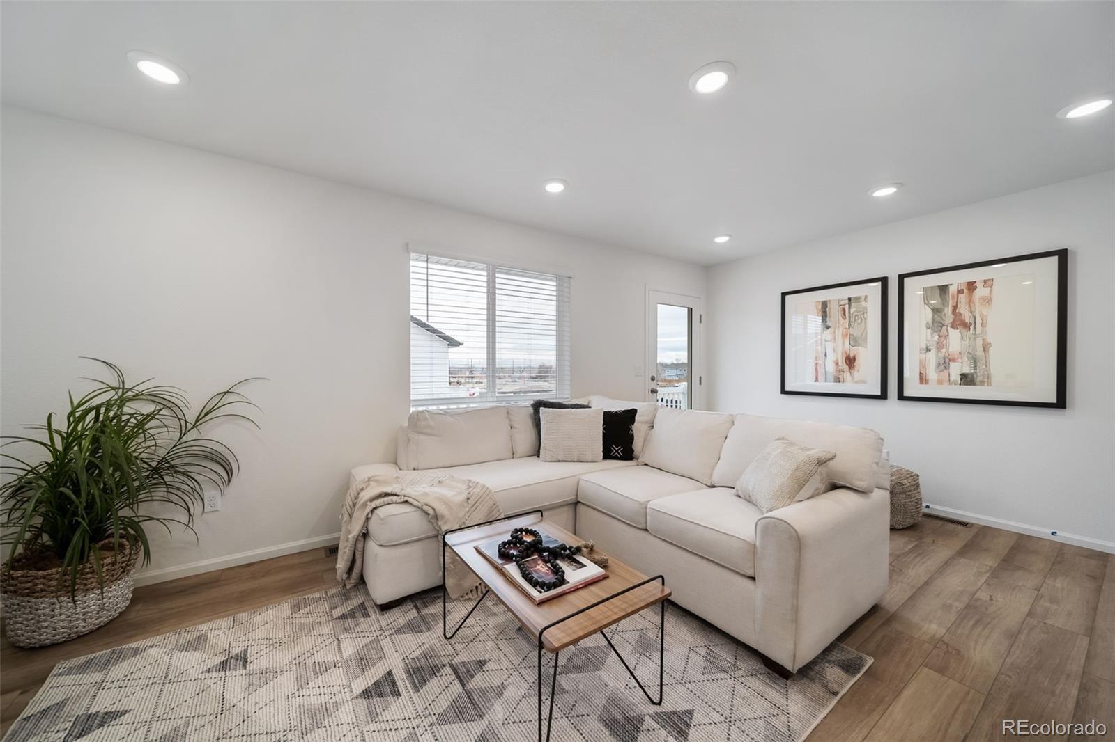 3372 Baltin Road Johnstown, CO 80534 - Photo 8 of 24 a living room with furniture and a potted plant