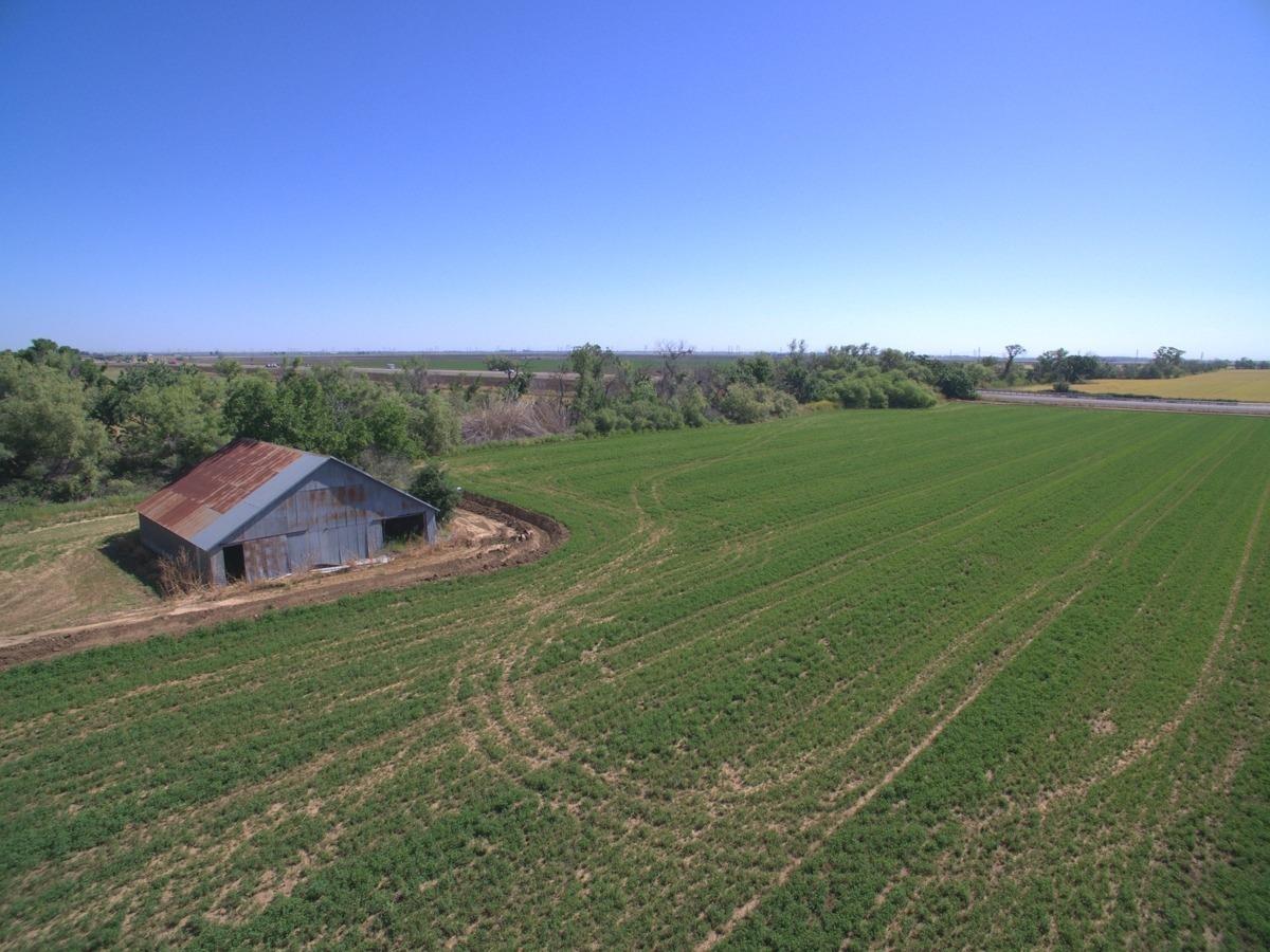 a view of a field with an trees