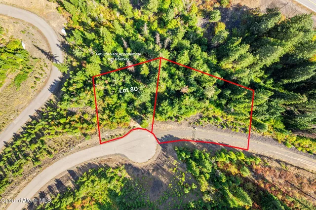 $49,500 | Nna South Nna S Turquoise Drive, Harrison, ID 83833