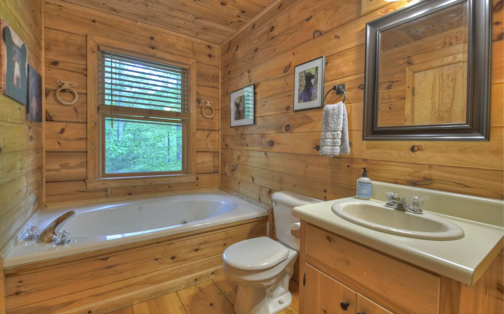 323 Holly Hollow Road Blue Ridge, GA 30513 - Photo 28 of 38 Additional View