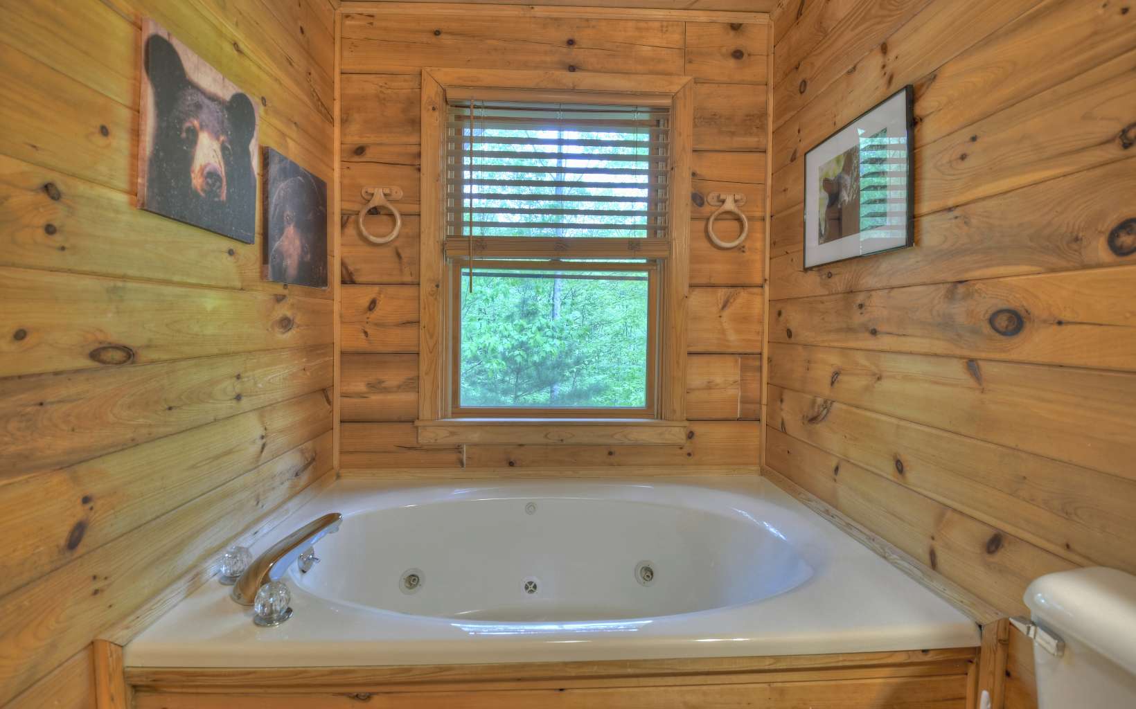 323 Holly Hollow Road Blue Ridge, GA 30513 - Photo 29 of 38 Additional View