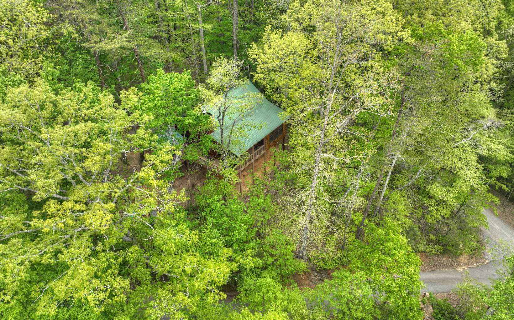 323 Holly Hollow Road Blue Ridge, GA 30513 - Photo 35 of 38 Additional View
