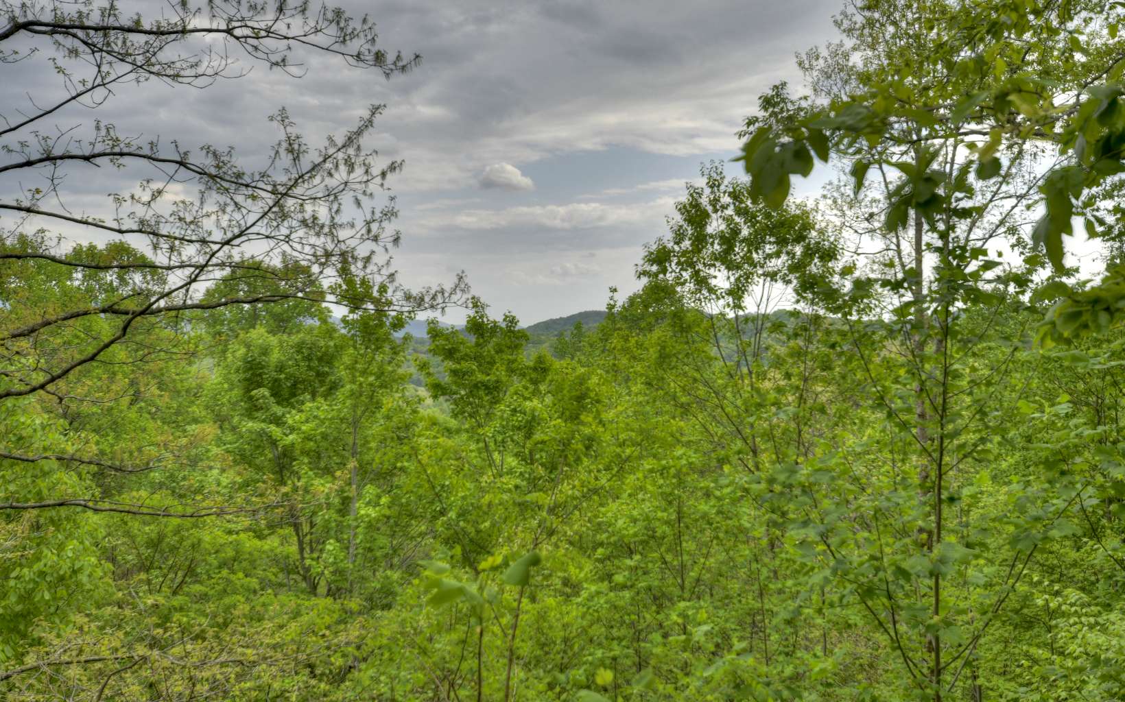 323 Holly Hollow Road Blue Ridge, GA 30513 - Photo 36 of 38 Additional View