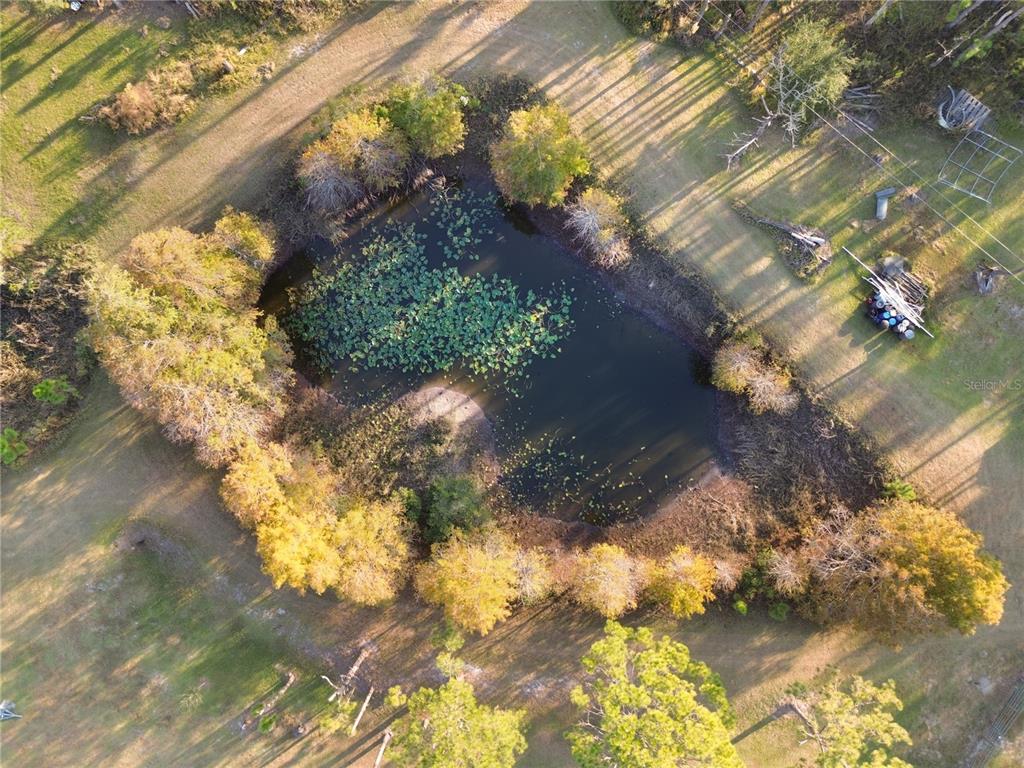 10989 Northwest Lily County Line Road Ona, FL 33865 - Photo 12 of 87