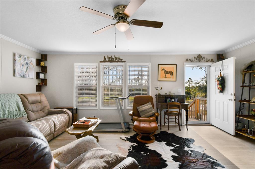 10989 Northwest Lily County Line Road Ona, FL 33865 - Photo 35 of 87 a living room with furniture a ceiling fan and a rug