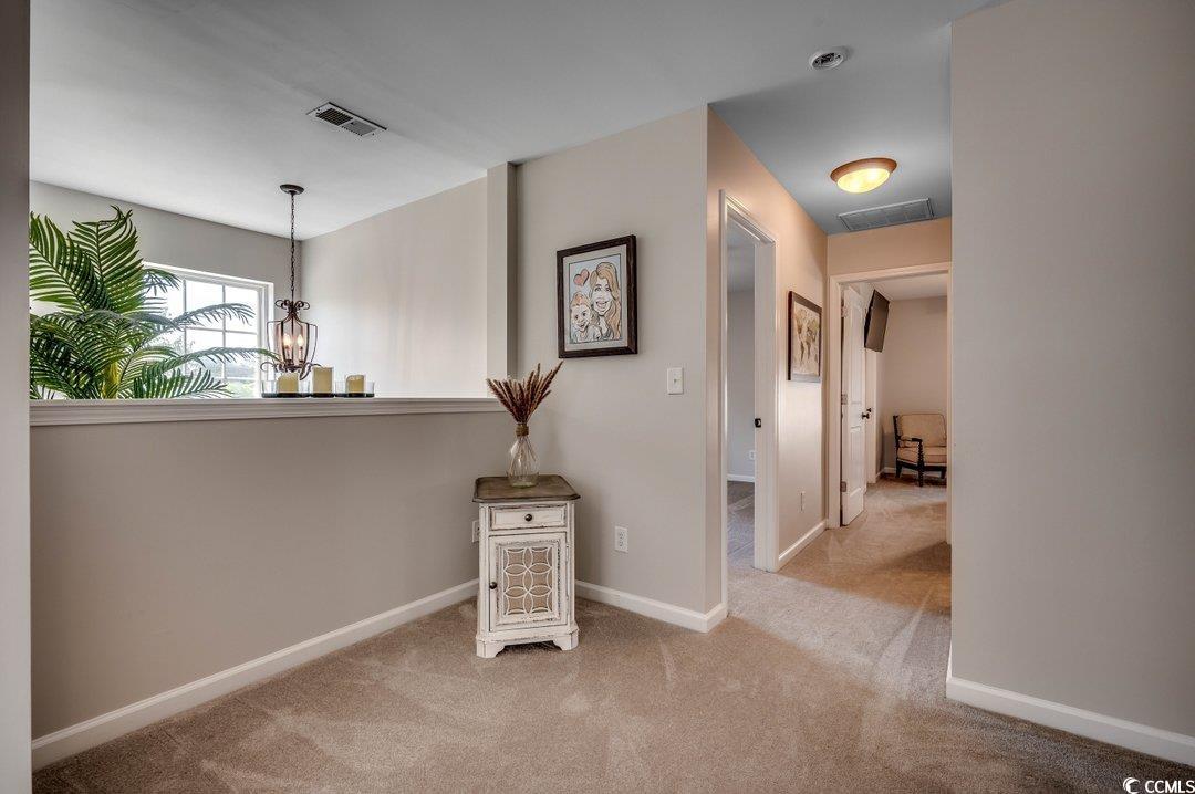 294 Simplicity Drive Murrells Inlet, SC 29576 - Photo 19 of 40