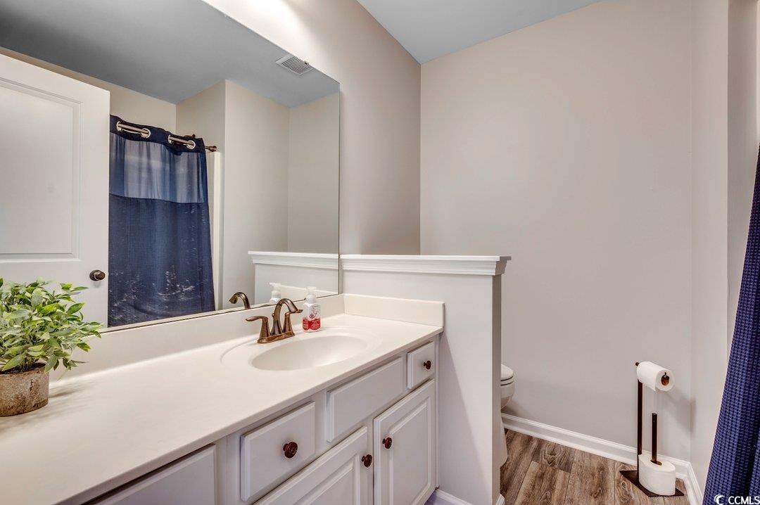 294 Simplicity Drive Murrells Inlet, SC 29576 - Photo 23 of 40