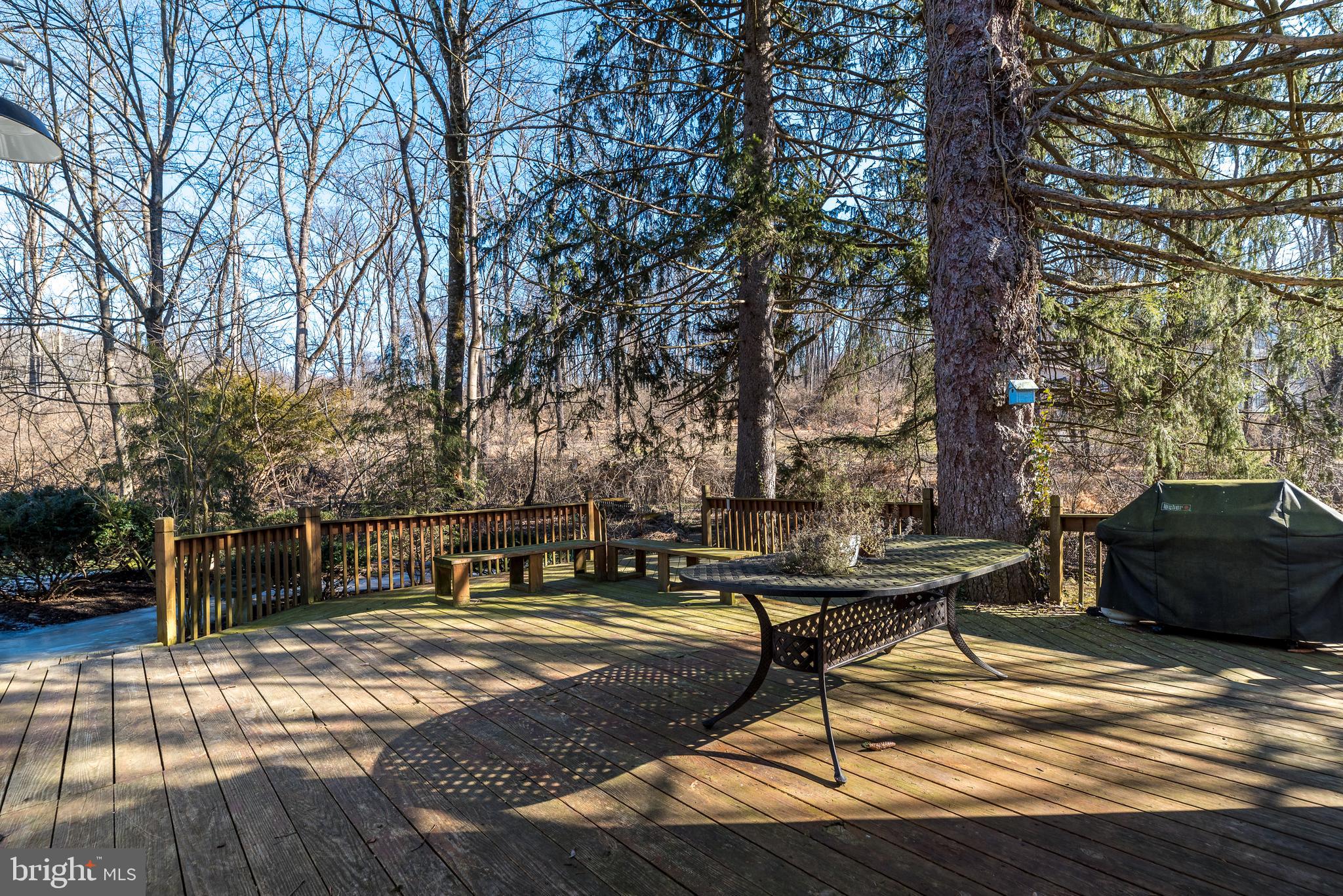 6362 Ridge Road Zionsville, PA 18092 - Photo 58 of 65 Expansive Deck