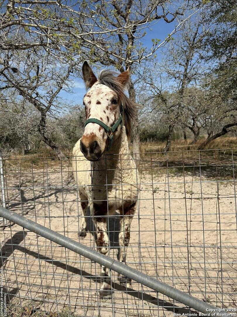 140 Guadalupe Ranch Lane Seguin, TX 78155 - Photo 23 of 39