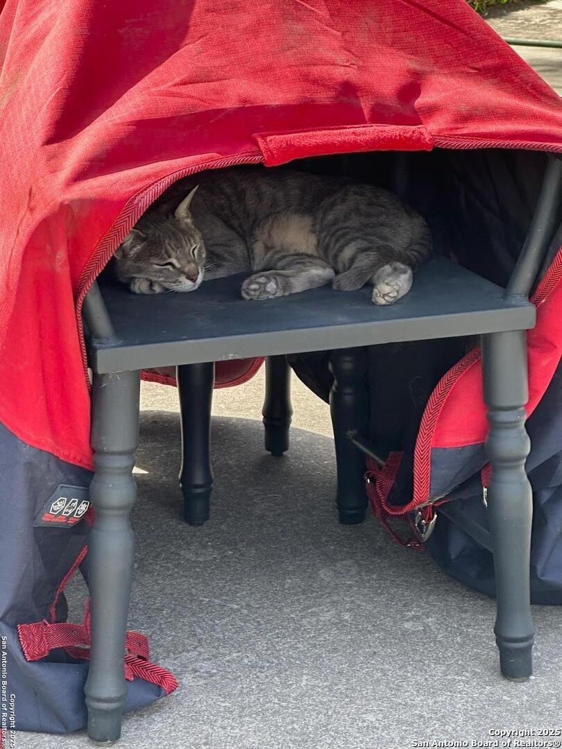 140 Guadalupe Ranch Lane Seguin, TX 78155 - Photo 24 of 39