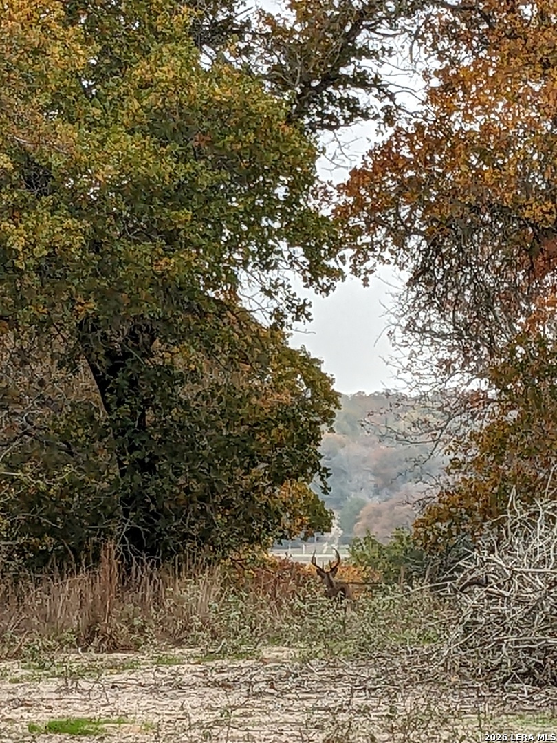 140 Guadalupe Ranch Lane Seguin, TX 78155 - Photo 26 of 39