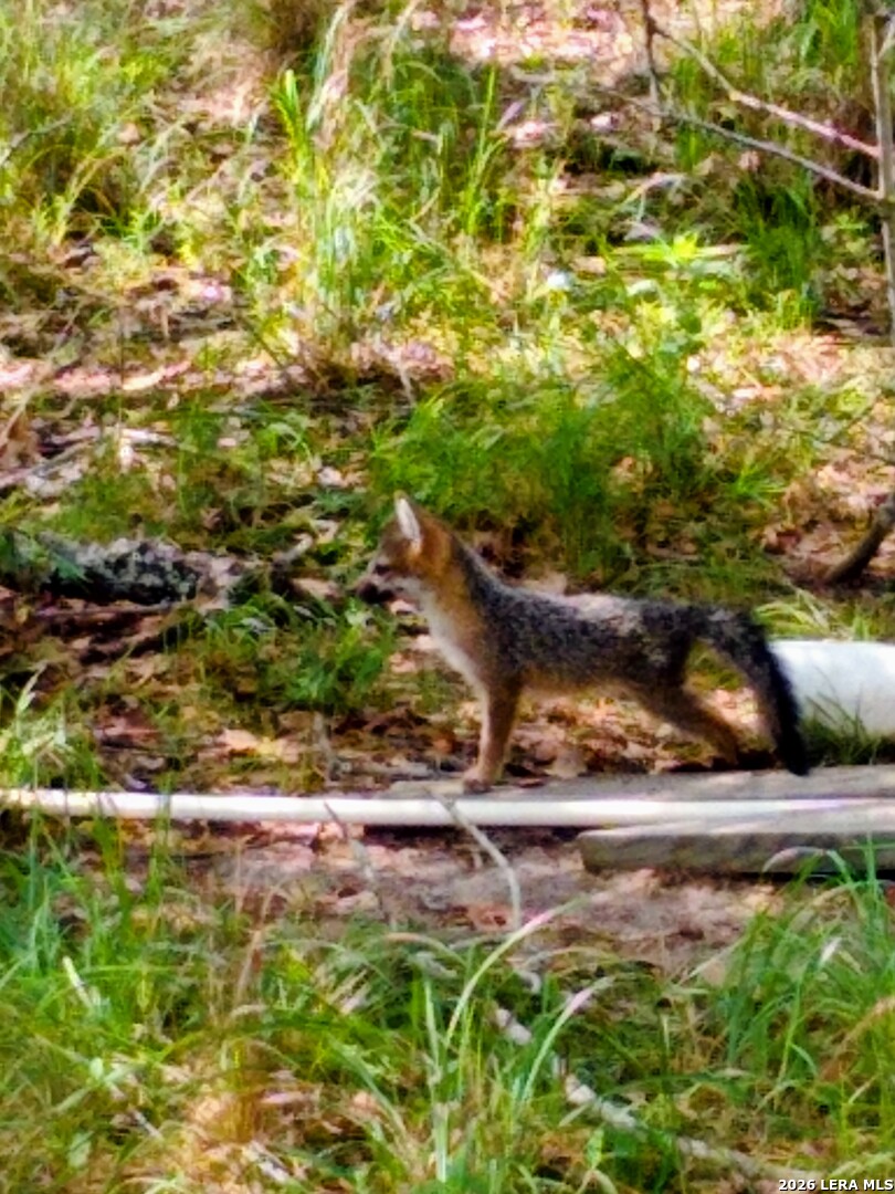 140 Guadalupe Ranch Lane Seguin, TX 78155 - Photo 31 of 39