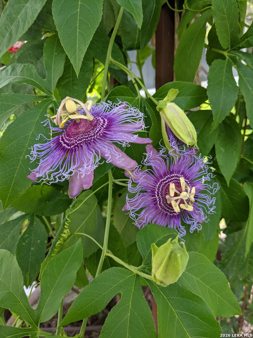 140 Guadalupe Ranch Lane Seguin, TX 78155 - Photo 32 of 39
