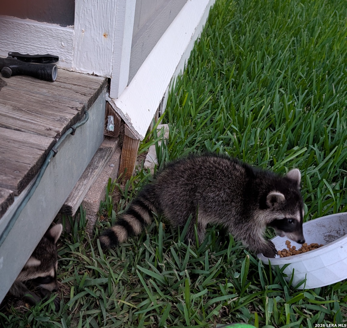 140 Guadalupe Ranch Lane Seguin, TX 78155 - Photo 34 of 39