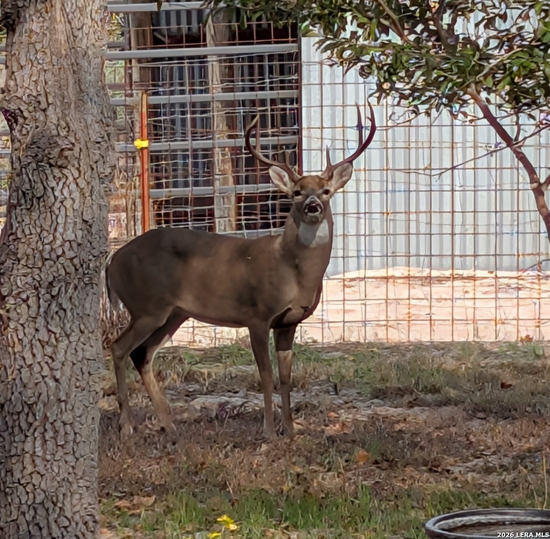 140 Guadalupe Ranch Lane Seguin, TX 78155 - Photo 35 of 39