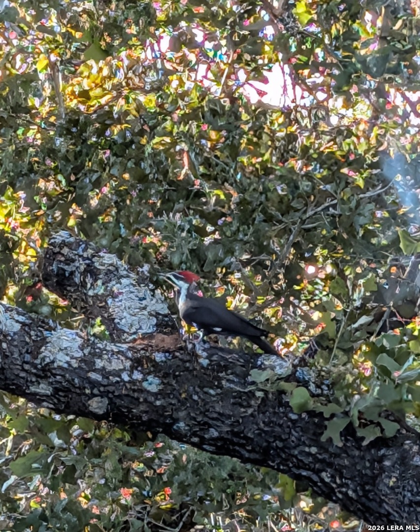 140 Guadalupe Ranch Lane Seguin, TX 78155 - Photo 36 of 39