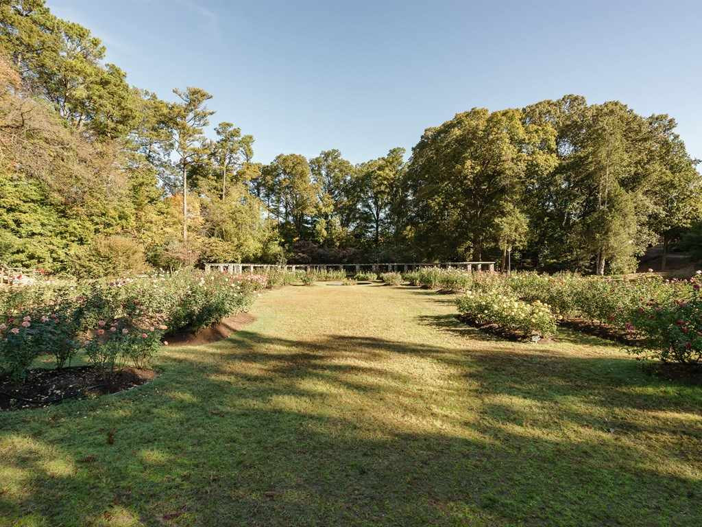 2707 Everett Avenue Raleigh, NC 27607 - Photo 4 of 23 Your Neighbor!