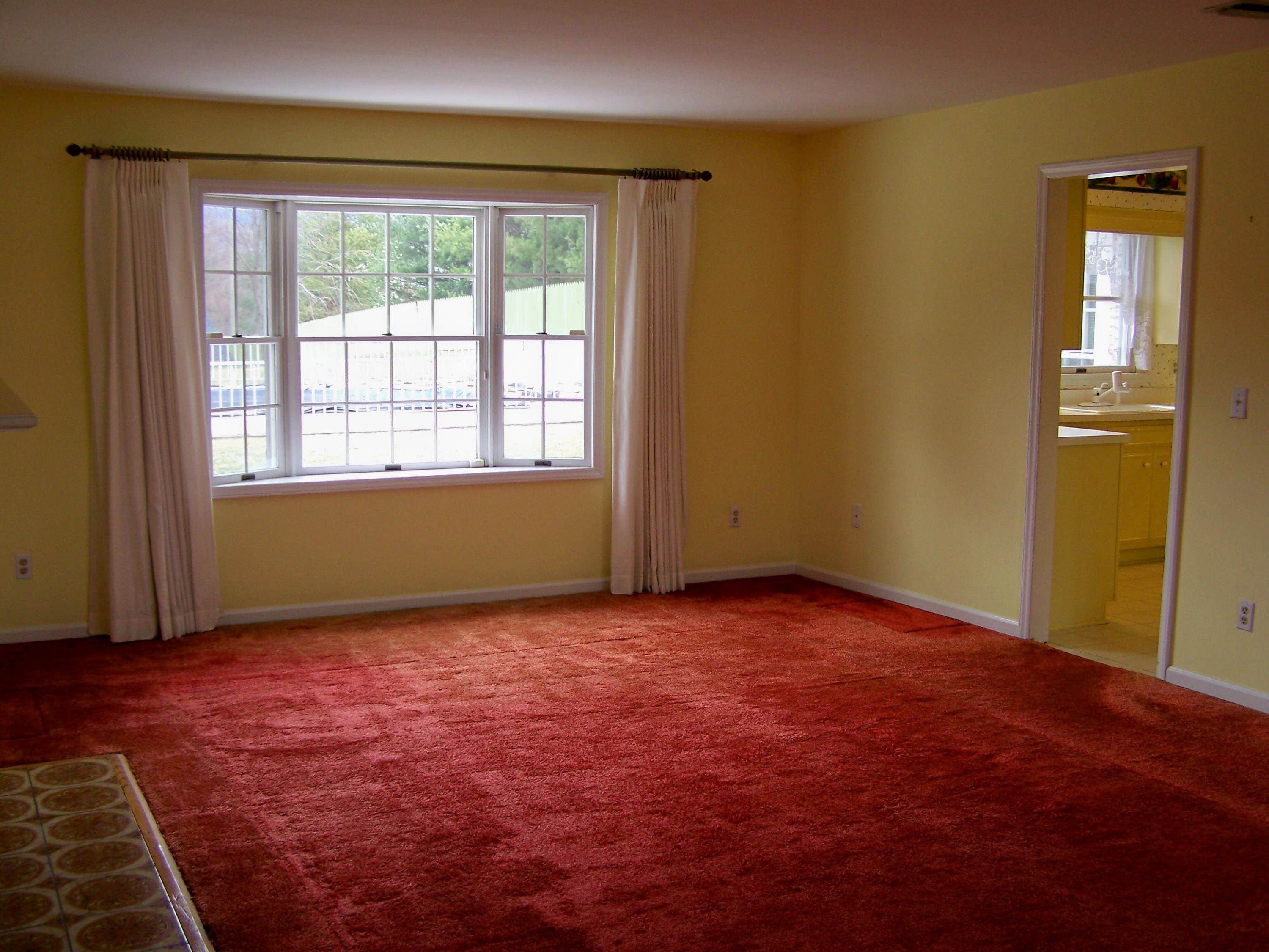8205 Barrens Road Roanoke, VA 24019 - Photo 16 of 58 Bay Window to Backyard