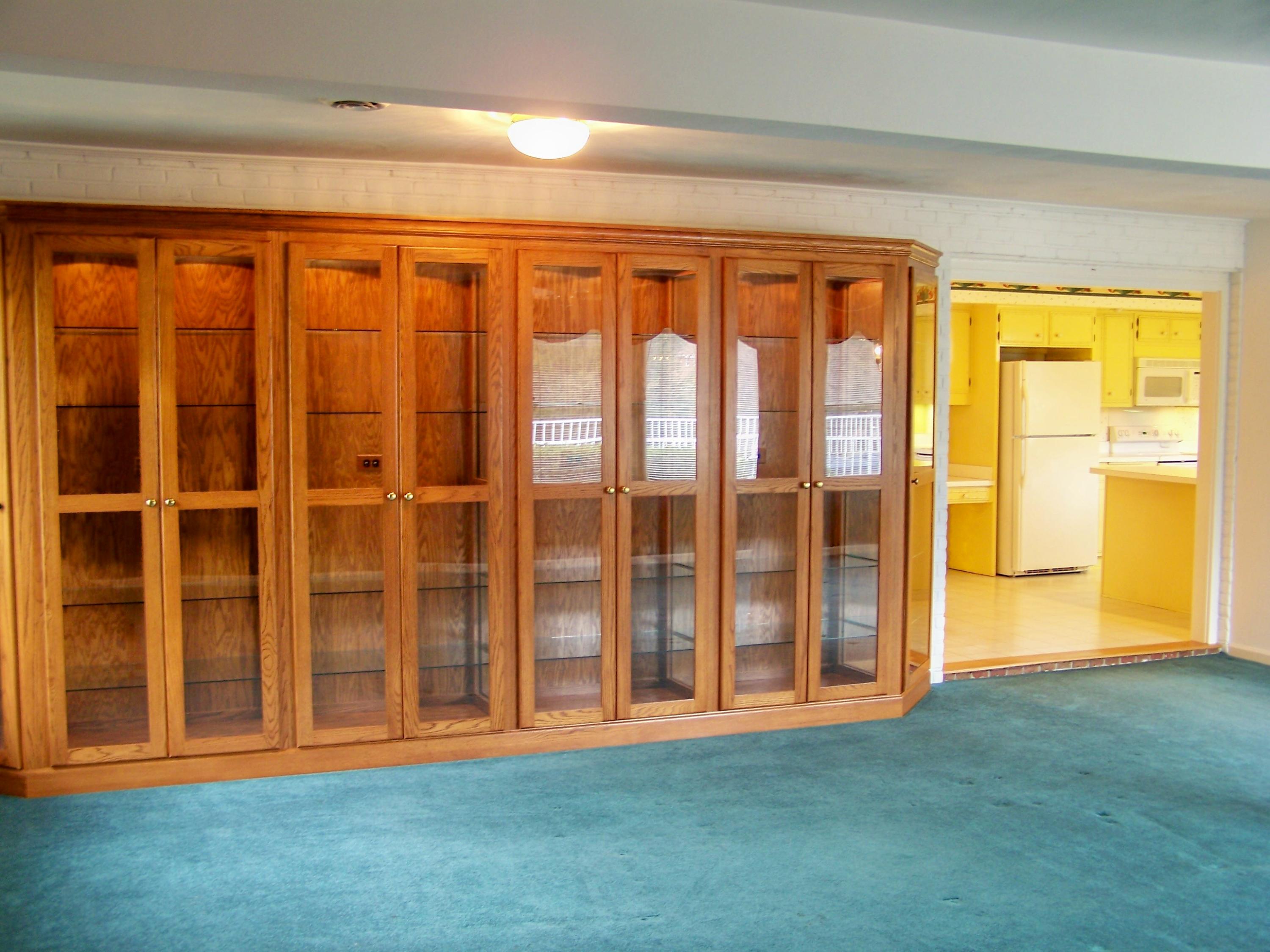 8205 Barrens Road Roanoke, VA 24019 - Photo 29 of 58 Custom-built, Lighted Display Cabinets