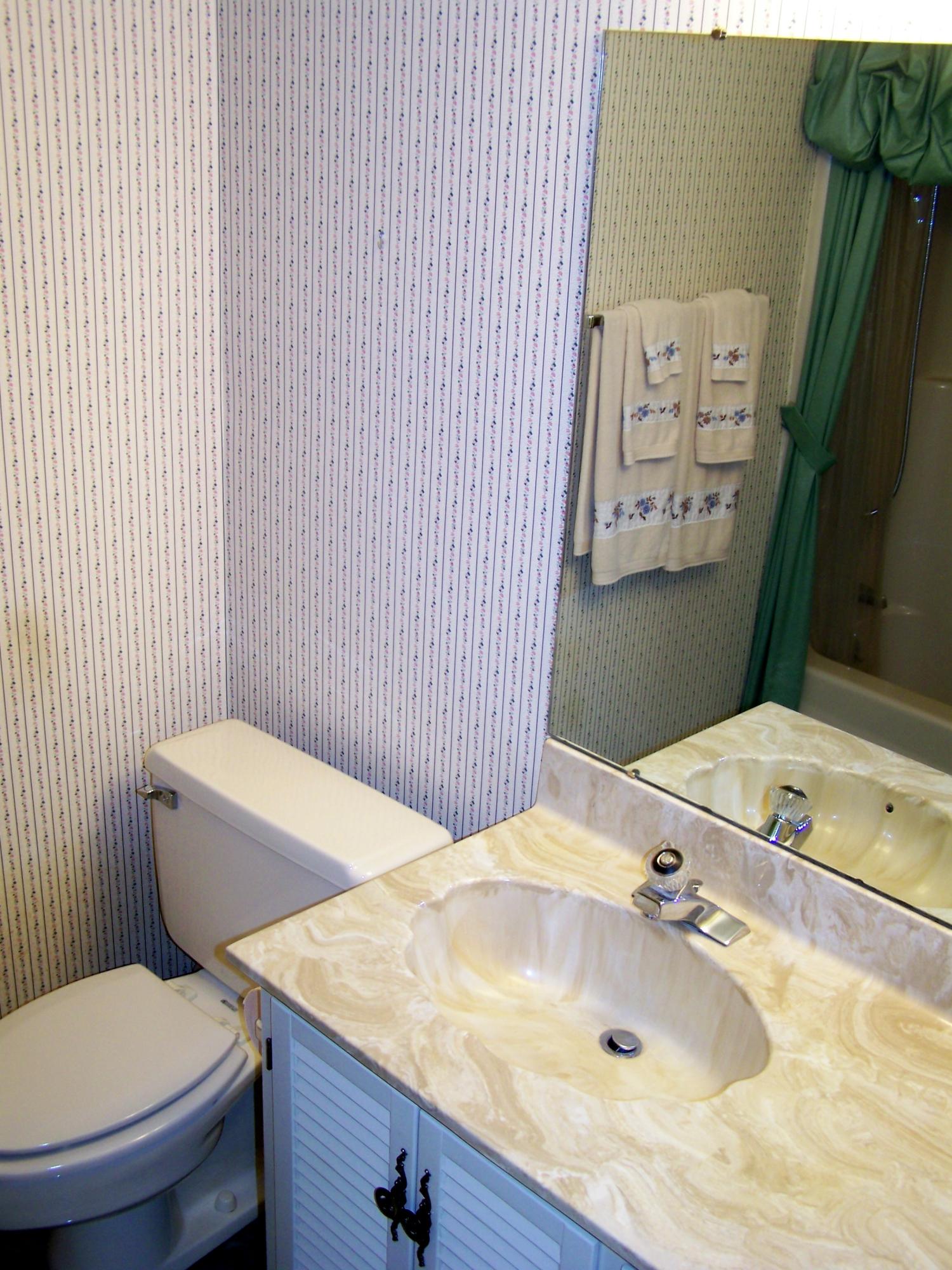 8205 Barrens Road Roanoke, VA 24019 - Photo 38 of 58 Hallway Bathroom