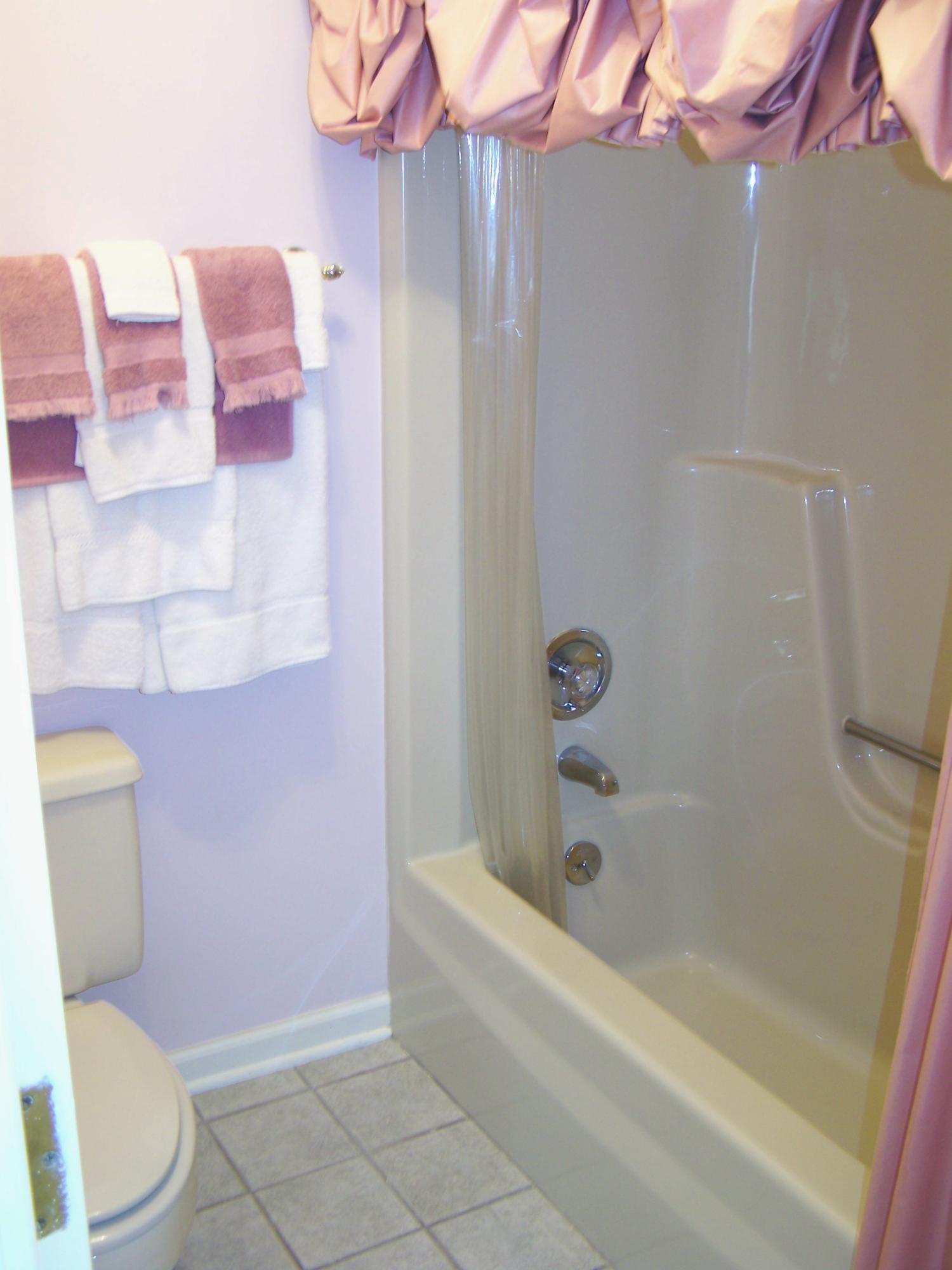 8205 Barrens Road Roanoke, VA 24019 - Photo 45 of 58 Shower/Tub & WC
