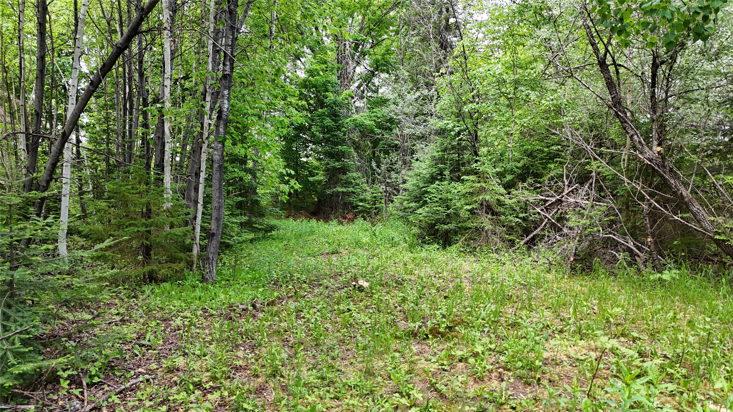 7069 N Fenders Road Winter, WI 54896 - Photo 29 of 50