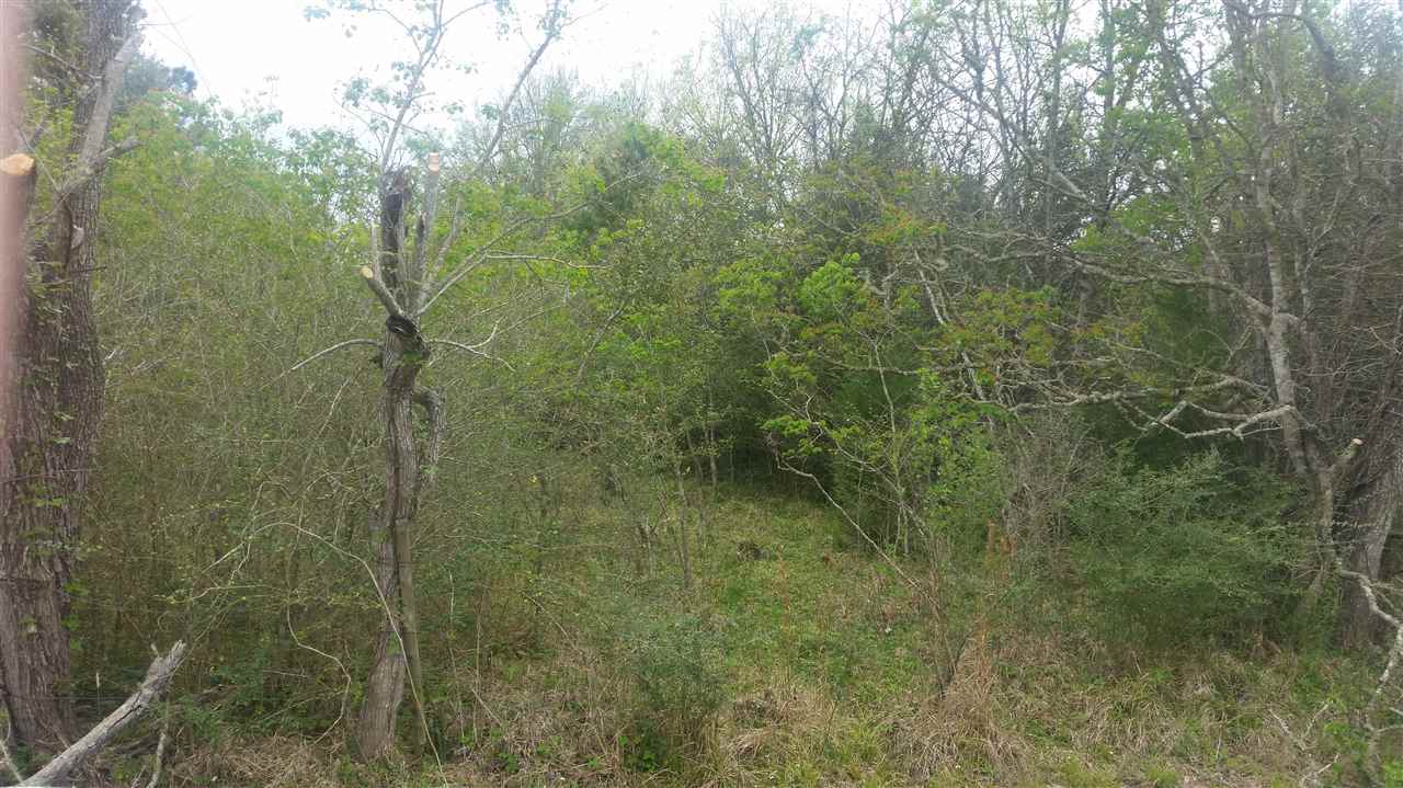 0 Perl Road Beaumont, TX 77701 - Photo 1 of 1