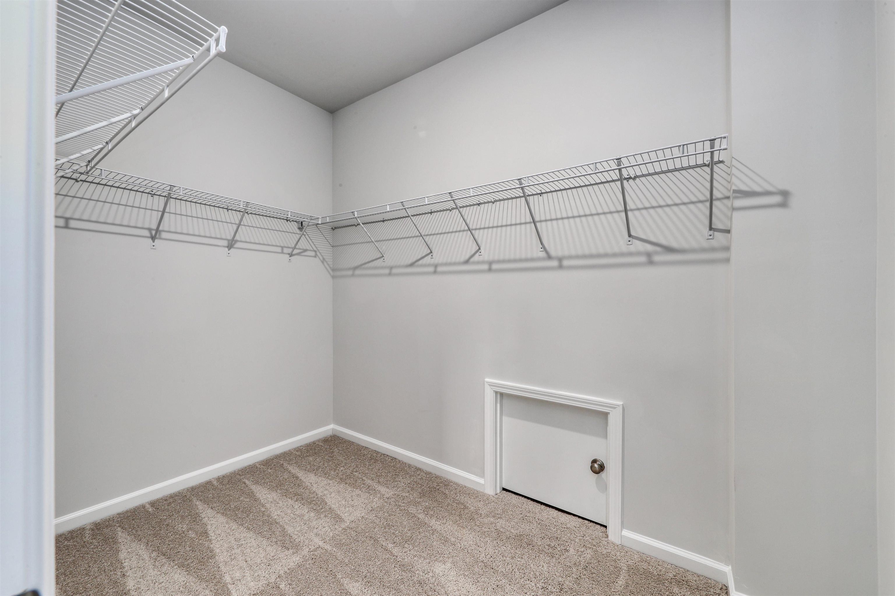 3431 Logan Street Conway, SC 29526 - Photo 21 of 31 Spacious closet featuring carpet flooring