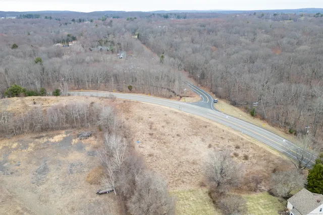a view of a dry yard with trees