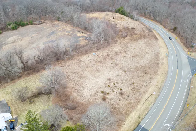 a view of a dry yard with trees