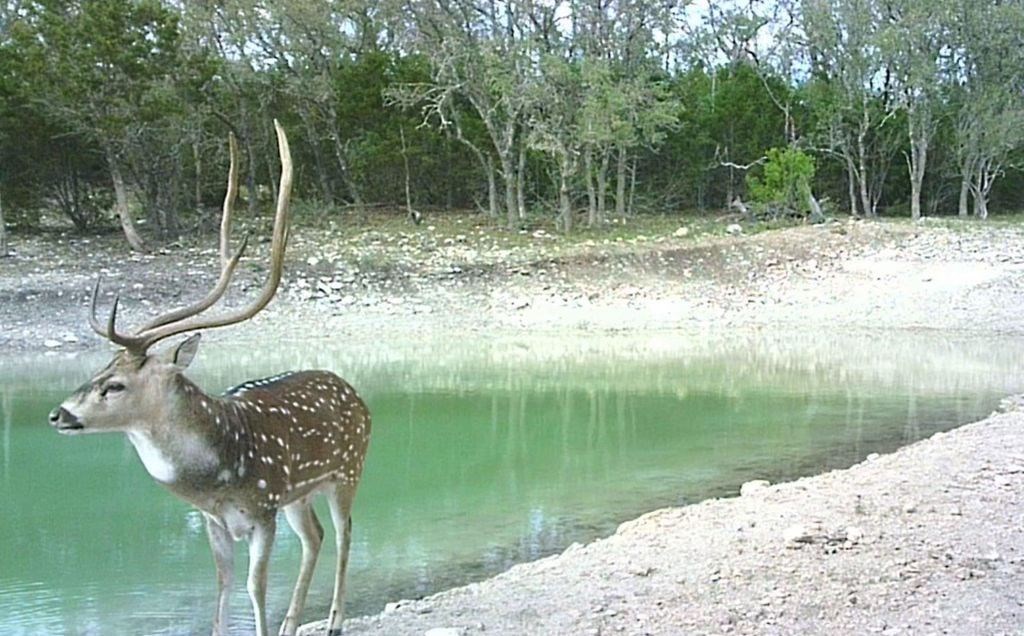 0 State Highway, Unit 8 Rocksprings, TX 78880 - Photo 17 of 21 Gallery Image 17
