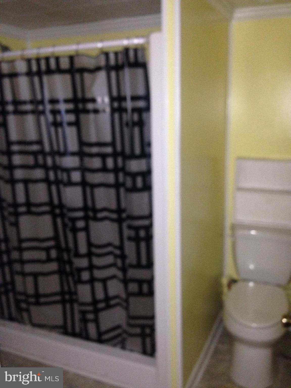 8321 Newark Road Newark, MD 21841 - Photo 17 of 33 a bathroom with a shower and a toilet