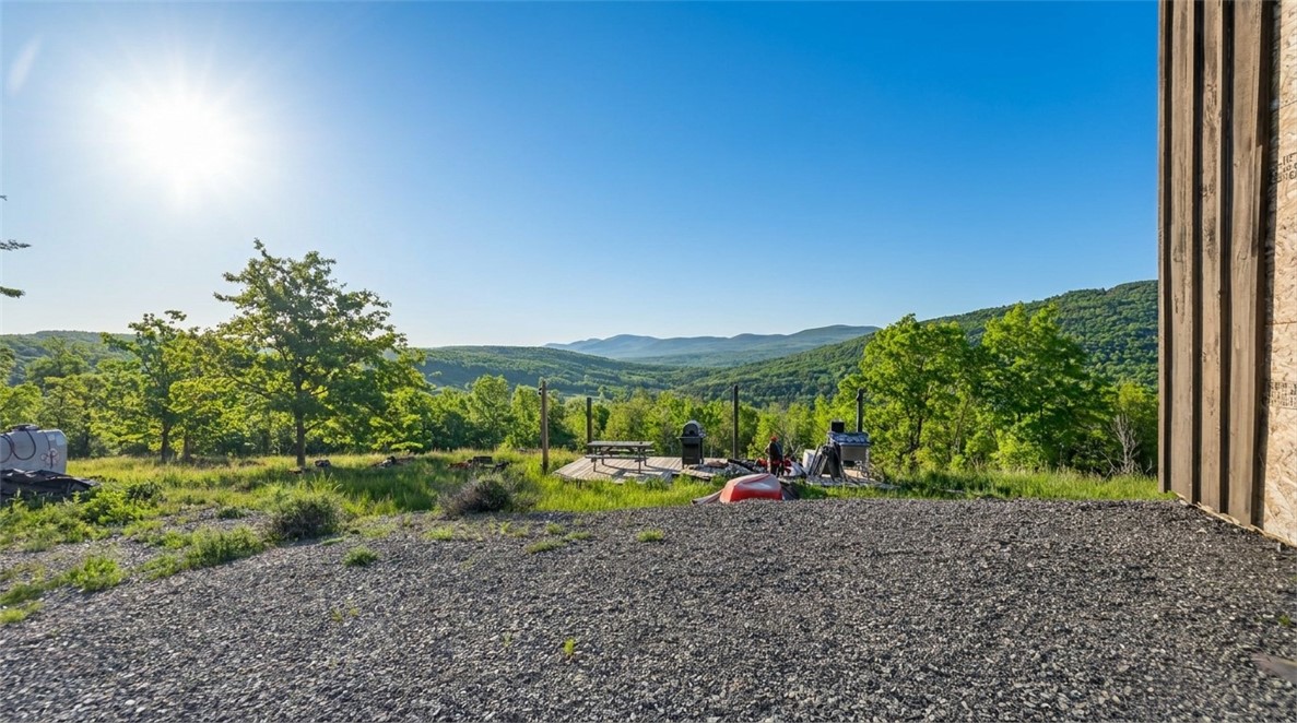 10.10 Cheese Hill Road Preston Hollow, NY 12469 - Photo 20 of 46